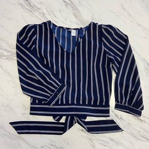 Japna Blue Striped Cropped Blouse